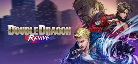 Double Dragon Revive